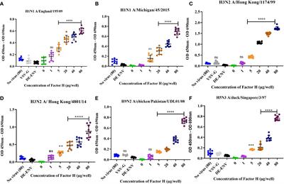 Mapping the interaction sites of human and avian influenza A viruses and complement factor H